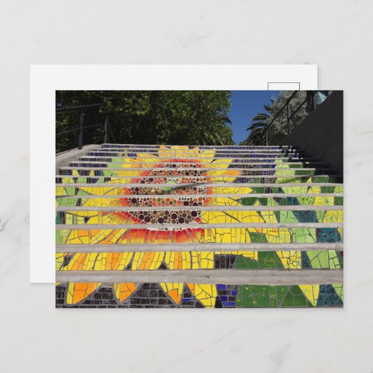 Zonnebloemtrap Briefkaart (Voorkant / Achterkant)