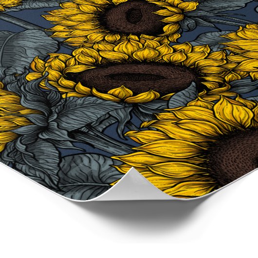 Zonnebloemveld 2 poster (Hoek)