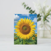 ZONNEBLOEMVELD ANSICHTKAART BRIEFKAART (Staand voorkant)