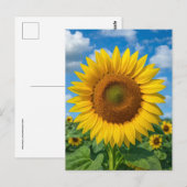 ZONNEBLOEMVELD ANSICHTKAART BRIEFKAART (Voorkant / Achterkant)
