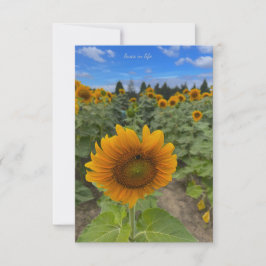 Zonnebloemveld & bij notitiekaartje