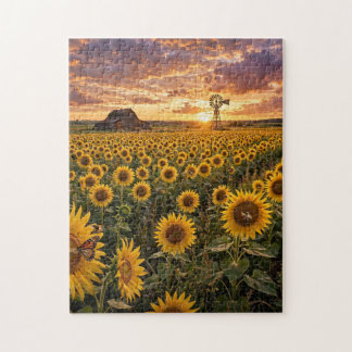 Zonnebloemveld bij zonsondergang legpuzzel