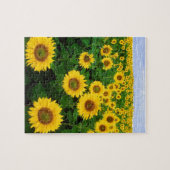 ZONNEBLOEMVELD & BLAUWE LUCHT 8X10 LEGPUZZEL (Horizontaal)