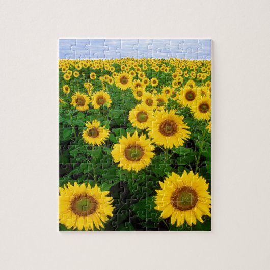 ZONNEBLOEMVELD & BLAUWE LUCHT 8X10 LEGPUZZEL (Verticaal)