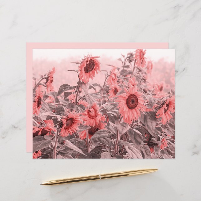 Zonnebloemveld  Blush roze grijze ontkoppeling (Voorkant / Achterkant in situ)