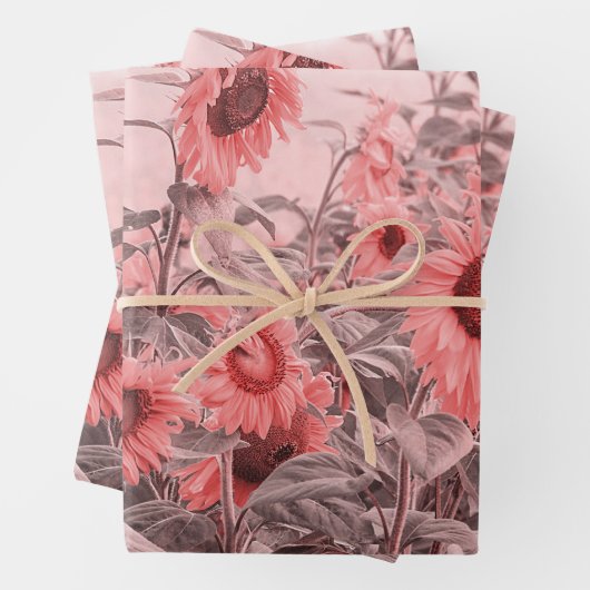 Zonnebloemveld  Blush roze grijze ontkoppeling Inpakpapier Vel (In situ)