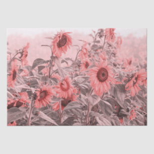 Zonnebloemveld  Blush roze grijze ontkoppeling Tissuepapier