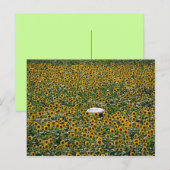 Zonnebloemveld Briefkaart (Voorkant / Achterkant)