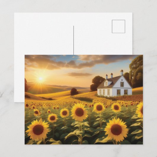Zonnebloemveld Briefkaart (Voorkant / Achterkant)