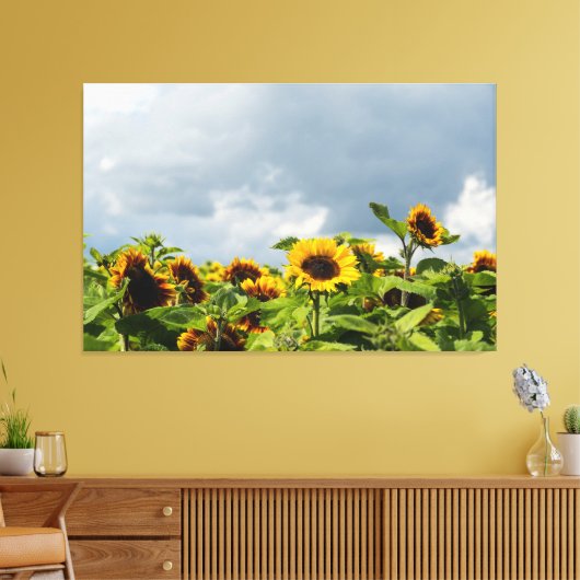 Zonnebloemveld Canvas Afdruk (Insitu (Woonkamer))