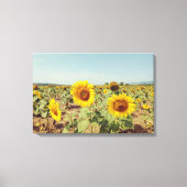 zonnebloemveld canvas afdruk (Voorkant)