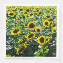Zonnebloemveld Harmonie
