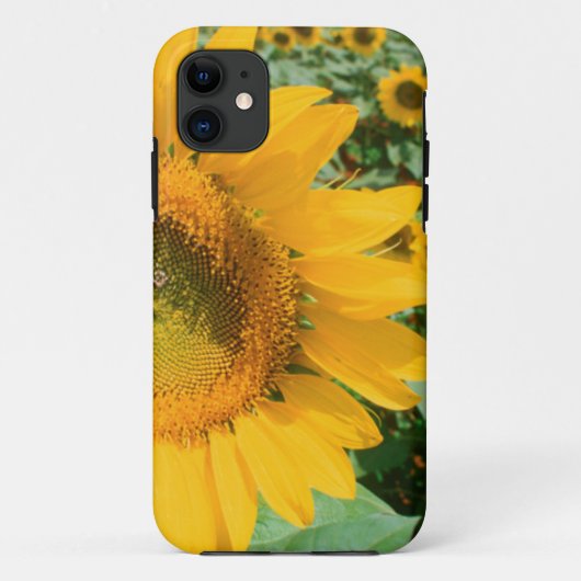 Zonnebloemveld. Heidleberg District Case-Mate iPhone Case (Achterkant)