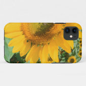 Zonnebloemveld. Heidleberg District Case-Mate iPhone Case (Achterkant (horizontaal))