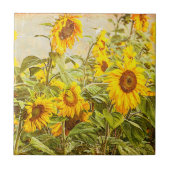 Zonnebloemveld , heldere landkunst tegeltje (Voorkant)