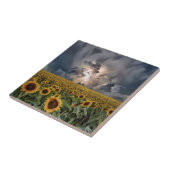 Zonnebloemveld in een Storm Tegeltje (Zijkant)