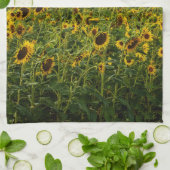 Zonnebloemveld in het avondlicht theedoek (Gevouwen)