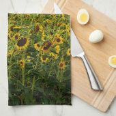 Zonnebloemveld in het avondlicht theedoek (Quarter Fold)