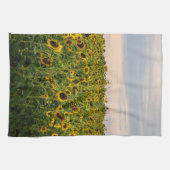 Zonnebloemveld in het avondlicht theedoek (Horizontaal)