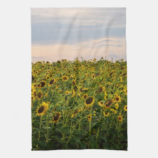 Zonnebloemveld in het avondlicht theedoek (Verticaal)