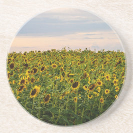 Zonnebloemveld in het avondlicht zandsteen onderzetter