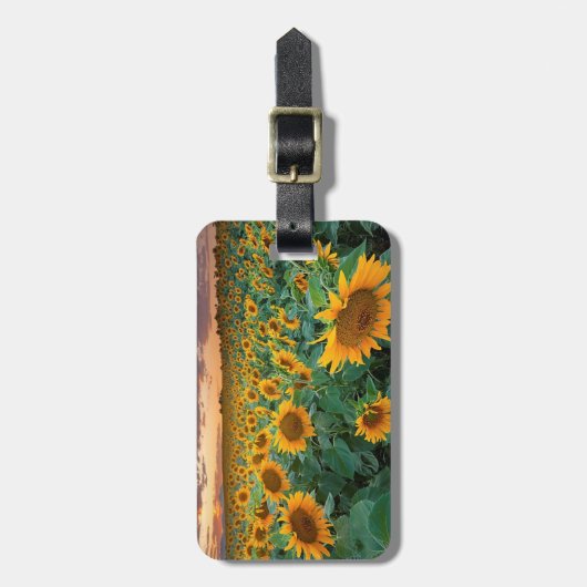 Zonnebloemveld in Longmont, Colorado Bagagelabel (Voorkant verticaal)