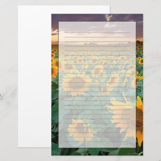 Zonnebloemveld in Longmont, Colorado Briefpapier (Voorkant / Achterkant)