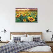 Zonnebloemveld in Longmont, Colorado Canvas Afdruk (Insitu (Slaapkamer))