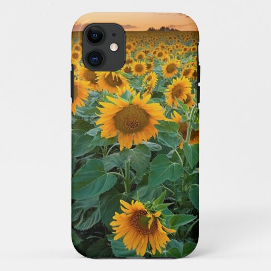 Zonnebloemveld in Longmont, Colorado Case-Mate iPhone Case (Achterkant)