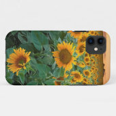 Zonnebloemveld in Longmont, Colorado Case-Mate iPhone Case (Achterkant (horizontaal))