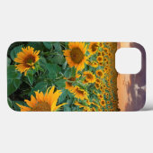 Zonnebloemveld in Longmont, Colorado Case-Mate iPhone Case (Achterkant (horizontaal))