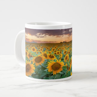 Zonnebloemveld in Longmont, Colorado Grote Koffiekop