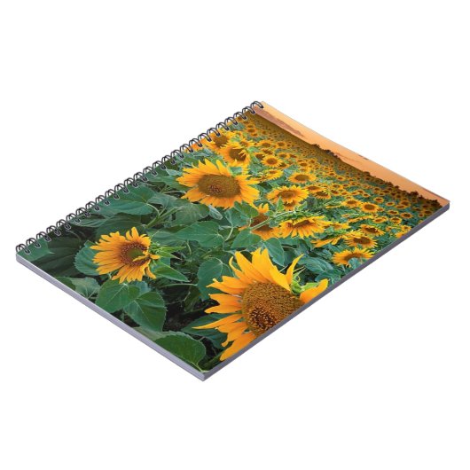 Zonnebloemveld in Longmont, Colorado Notitieboek (Linkerzijde)