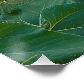 Zonnebloemveld in Longmont, Colorado Poster (Hoek)