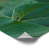 Zonnebloemveld in Longmont, Colorado Poster (Hoek)