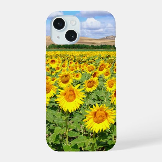 Zonnebloemveld iPhone 15 Case (Achterkant)