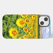 Zonnebloemveld iPhone Hoesje (Achterkant horizontaal)