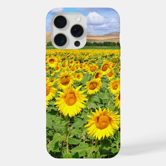 Zonnebloemveld iPhone Hoesje (Achterkant)