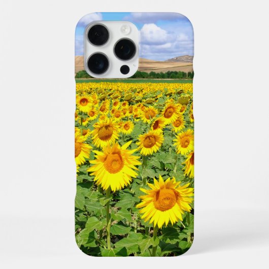 Zonnebloemveld iPhone Hoesje (Achterkant)