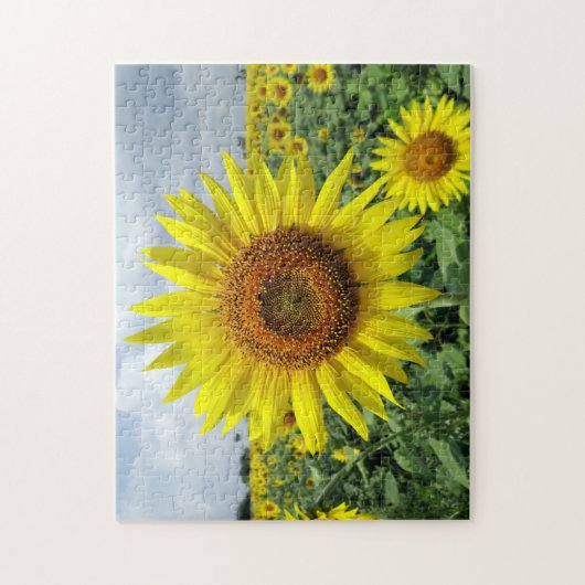 Zonnebloemveld Legpuzzel (Verticaal)