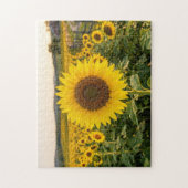 Zonnebloemveld Legpuzzel (Verticaal)