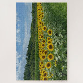 Zonnebloemveld Legpuzzel (Verticaal)