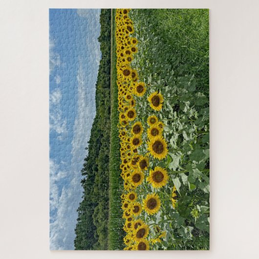 Zonnebloemveld Legpuzzel (Verticaal)
