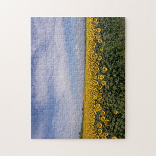 Zonnebloemveld Legpuzzel (Verticaal)