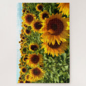 Zonnebloemveld Legpuzzel (Verticaal)