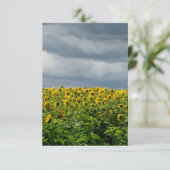 Zonnebloemveld, magneet (Staand voorkant)