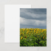 Zonnebloemveld, magneet (Voorkant / Achterkant)