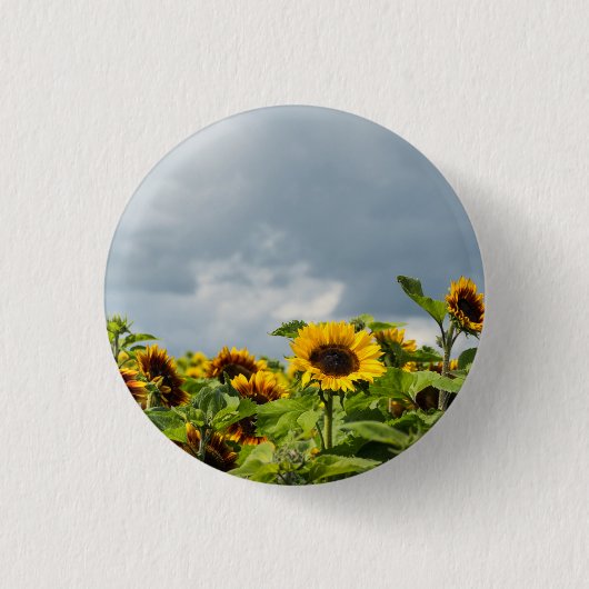 Zonnebloemveld magneet ronde button 3,2 cm (Voorkant)