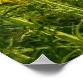 Zonnebloemveld met een Golden Sky Poster (Hoek)