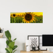 Zonnebloemveld met een Golden Sky Poster (Thuiskantoor)